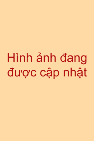 Bánh bông lan trứng muối sinh nhật mẫu 2 Ohi Bakery, mềm mịn, trang trí đẹp, thích hợp làm quà tặng.